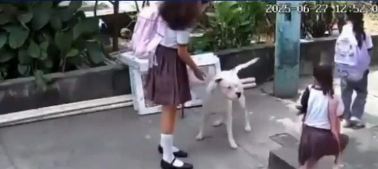 episodio-0