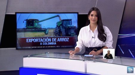 Así será el proceso de exportación de arroz a Colombia