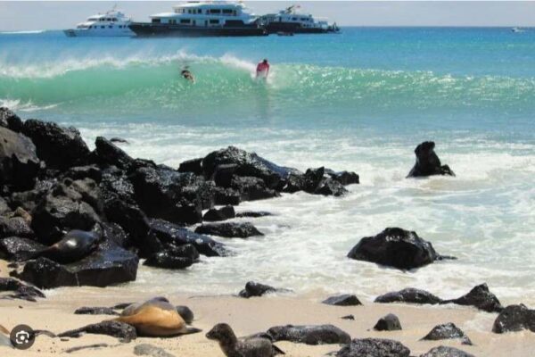 Cierre temporal de playa Mann ante incumplimiento de las normas de visita