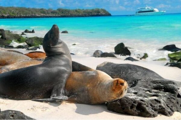 Un 10 de marzo de 1.535, Fray Tomás de Berlanga descubrió Galápagos 