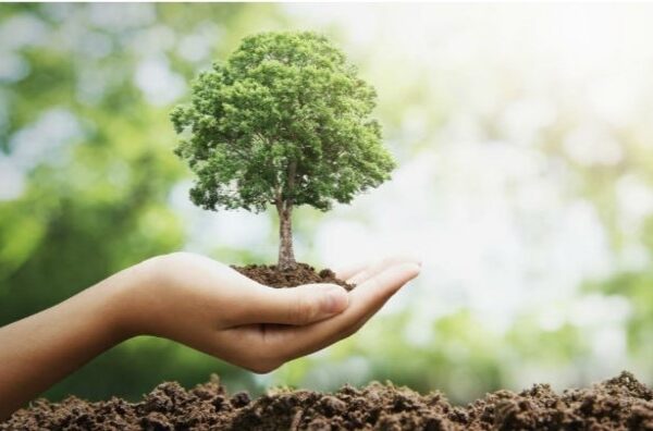 Quito busca convertirse en una ciudad líder en gestión ambiental